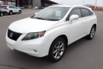 2010 LEXUS RX RX270 ART WORKS - Image 9
