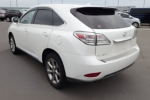 2010 LEXUS RX RX270 ART WORKS - Image 7