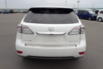 2010 LEXUS RX RX270 ART WORKS - Image 6