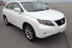 2010 LEXUS RX RX270 ART WORKS