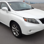 2010 LEXUS RX RX270 ART WORKS