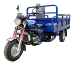 Three Wheel 250cc Gasoline Cargo Motorcycle 150cc Engine Tricycle