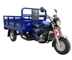 Three Wheel 250cc Gasoline Cargo Motorcycle 150cc Engine Tricycle - Image 6