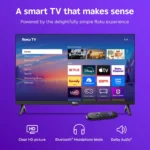 Roku 24" 720p HD Smart TV Voice Remote - Image 4
