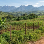 5 Acres of land for sale in Fort portal - Farm Land