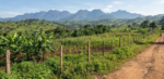 5 Acres of land for sale in Fort portal - Farm Land