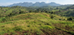 5 Acres of land for sale in Fort portal - Farm Land - Image 3